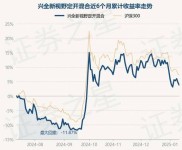 兴全新视野基金成立至今收益率可观，此次开放值得买吗？
