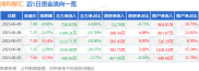 截至2023年6月9日收盘，鸿利智汇(300219)表现如何？资金流向怎样？