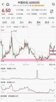 中国石化股票代码及投资策略分析，助投资者明智决策
