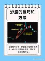 金融投资领域：如何高效找到适合自己的炒股软件？有这些方法