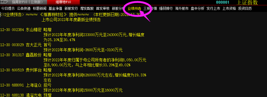 红马甲炒股软件手机版_2022年业绩预告_上市公司年报披露时间