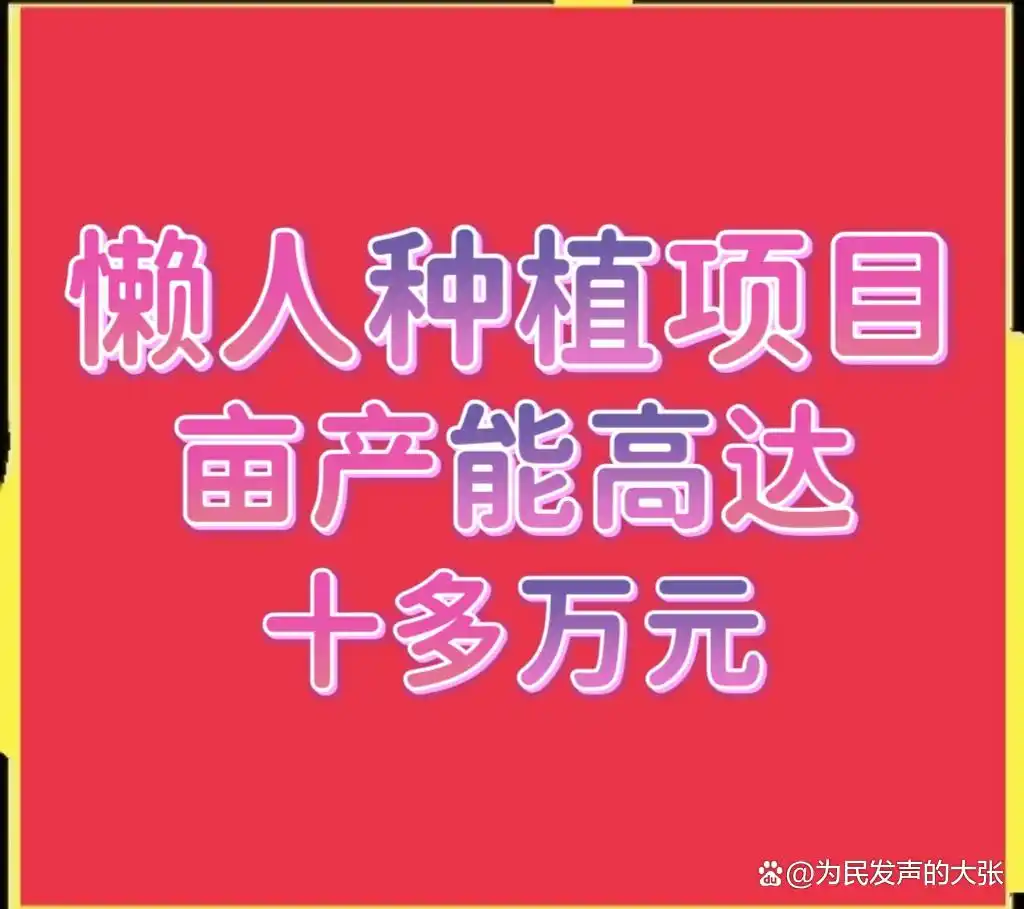 鱼菜共生项目利润分析_搞什么养殖赚钱_农村懒人种养项目