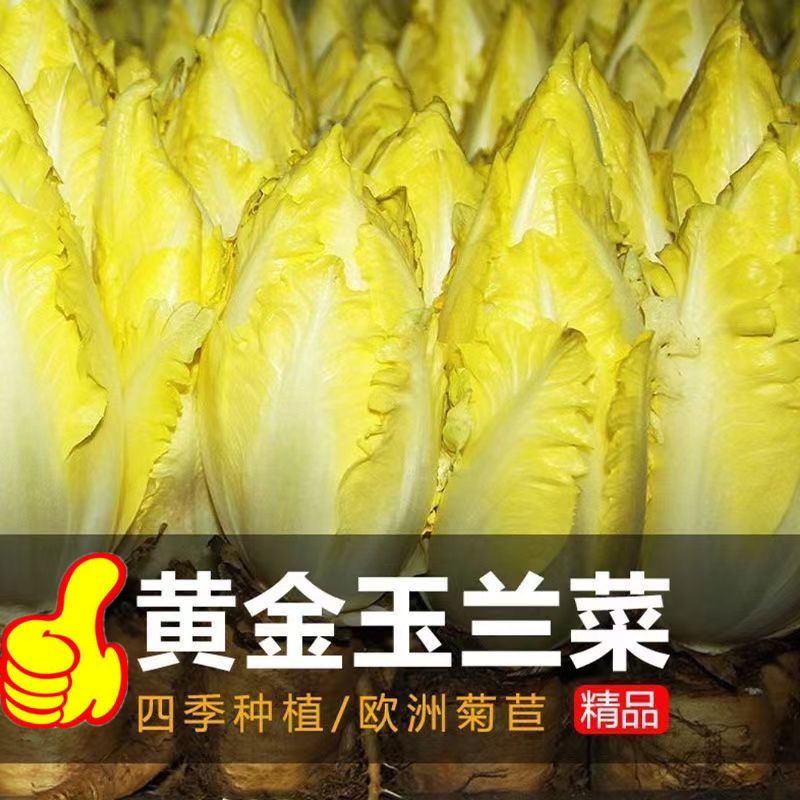 农村懒人种养项目_搞什么养殖赚钱_鱼菜共生项目利润分析