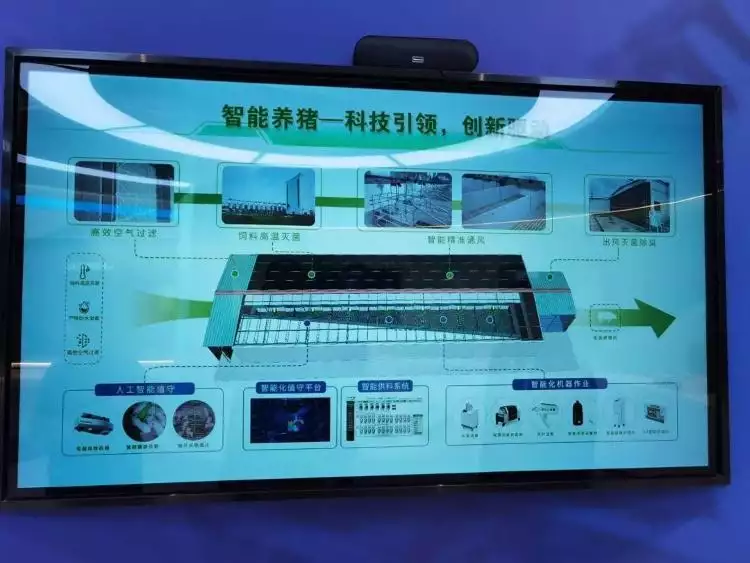 养猪行业智能化转型对员工收入的影响_养猪场工人的收入构成_养猪如何养赚钱