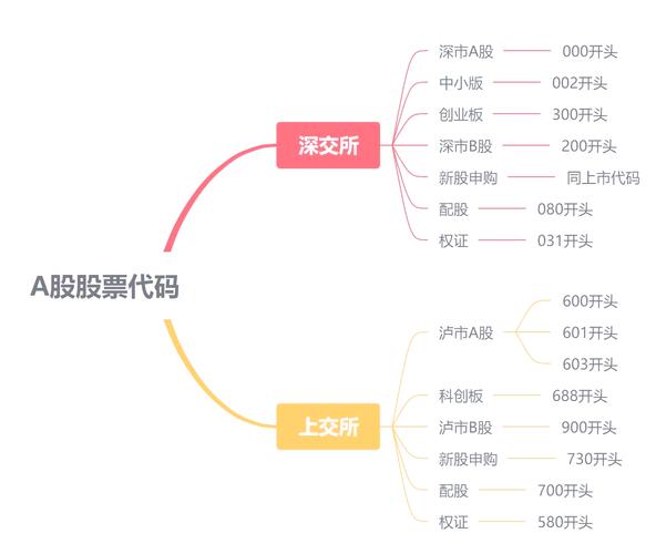 股票代码是什么_怎样买创业板股票代码_股票代码编制规则
