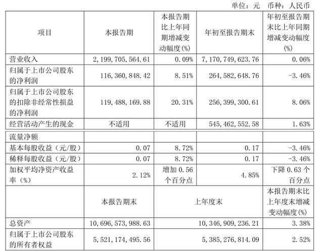 重庆燃气市盈率分析_重庆燃气2024年半年度报告分析_重庆燃气股票
