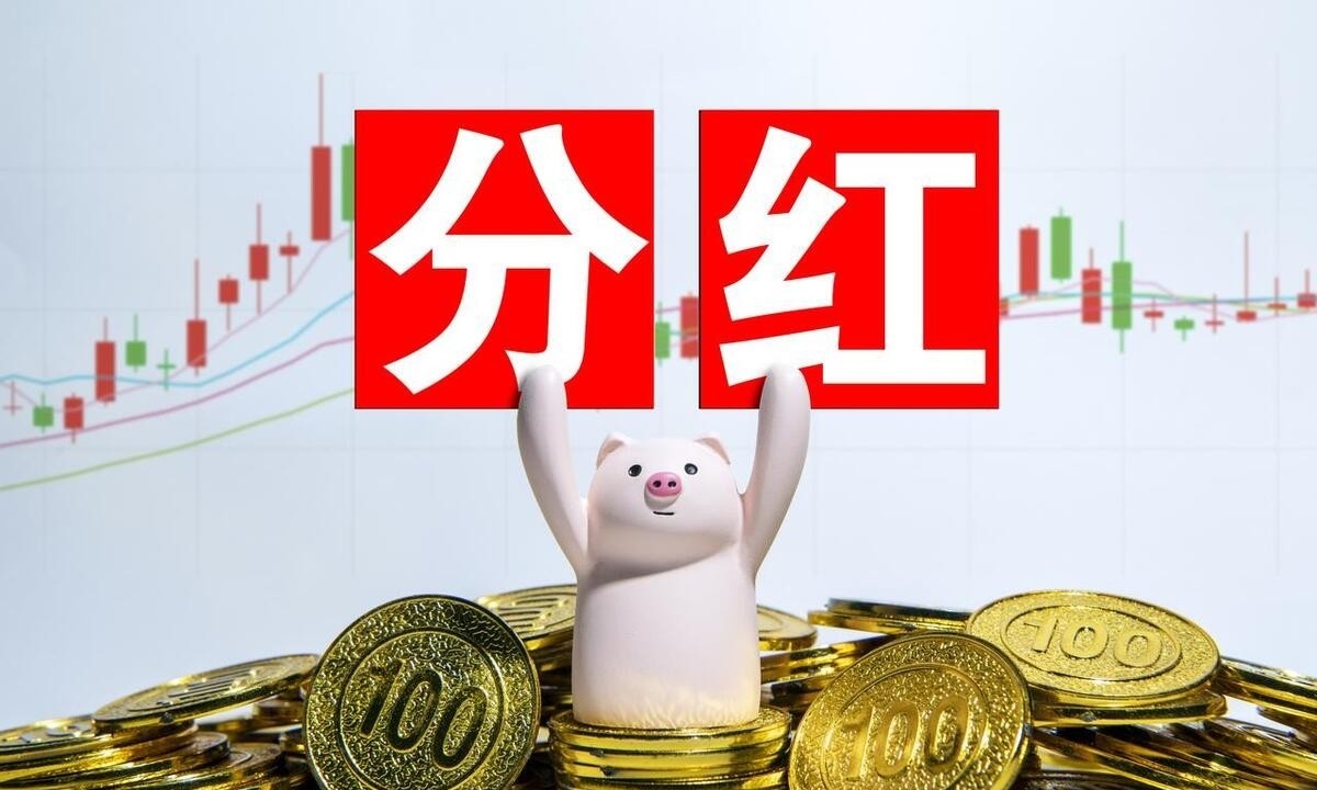 神秘基金月月分红揭秘_月月分红基金门道_什么股票型基金