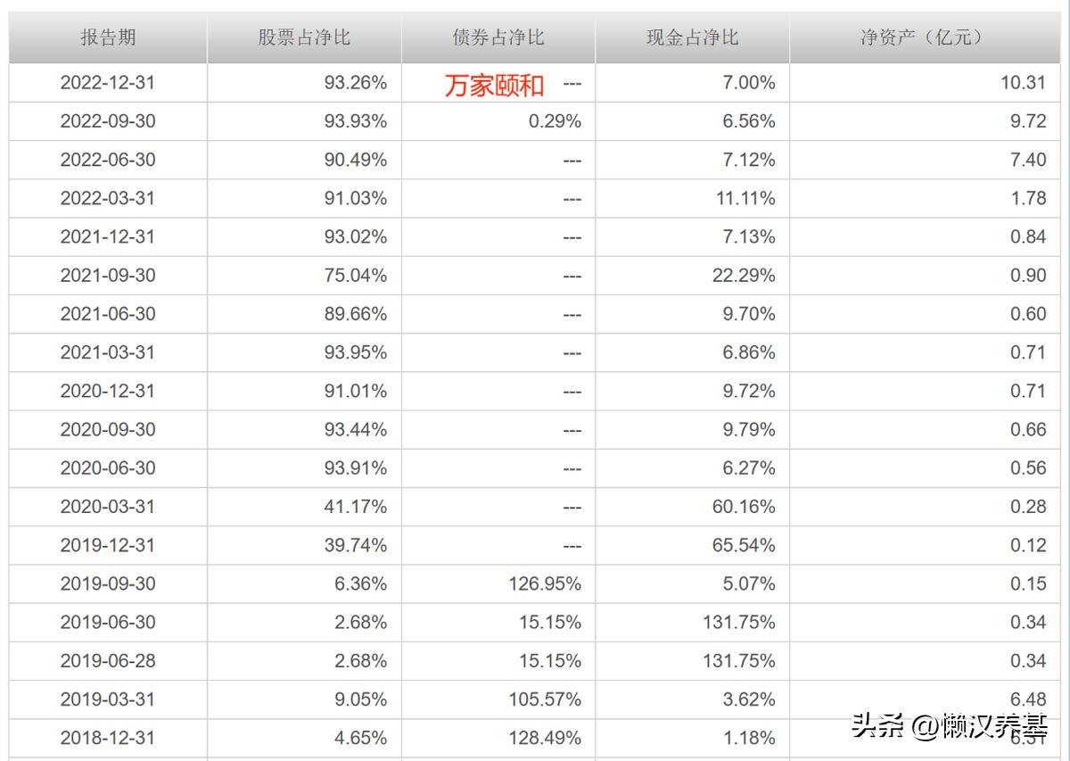 大盘股票基金是什么意思_大盘股票基金_大盘股票基金怎么买