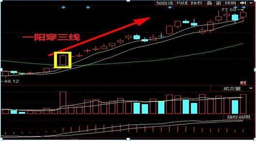 低价股投资价值_绩差低价股投资分析_600067股票