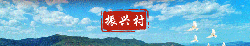 互联网金融安全隐忧_互联网金融股票有哪些_互联网金融安全联盟